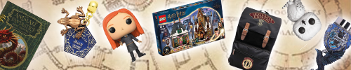 Banner Harry Potter